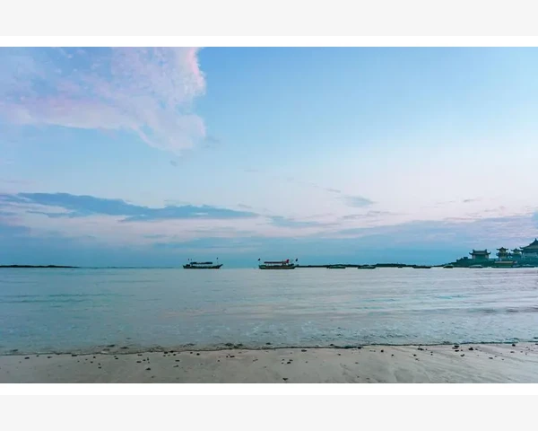 中药治疗胃疼拉肚子：有效的中医疗法